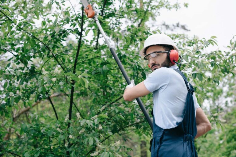 tree pruning