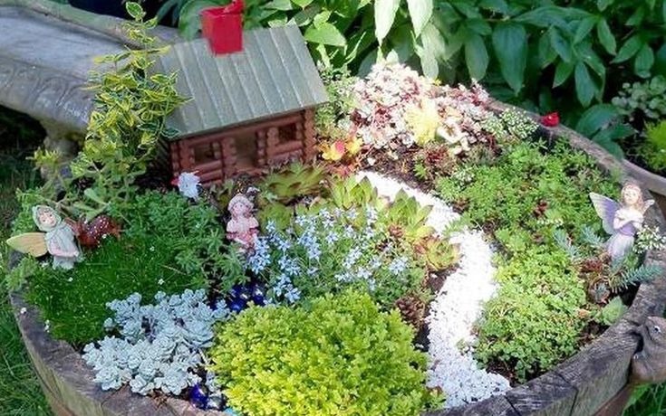 fairy garden