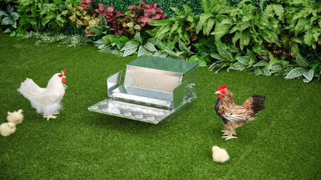 chicken feeder