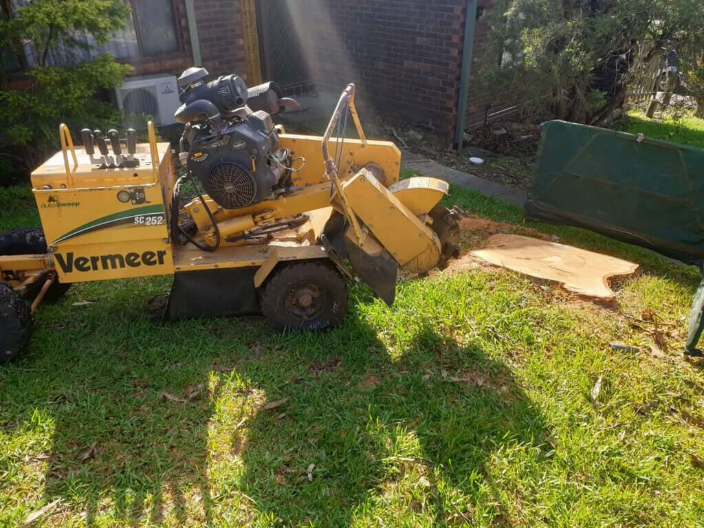 Stump Grinding Near Me