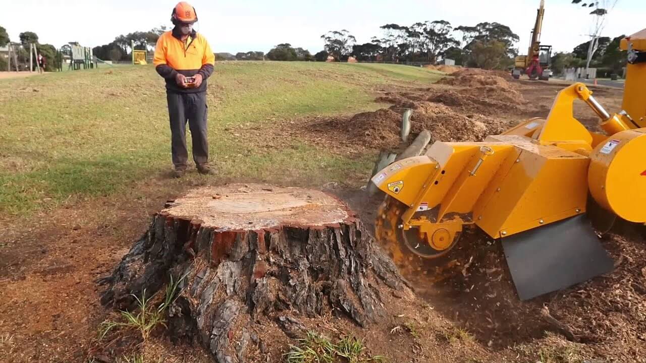 Stump Grinding Near Me