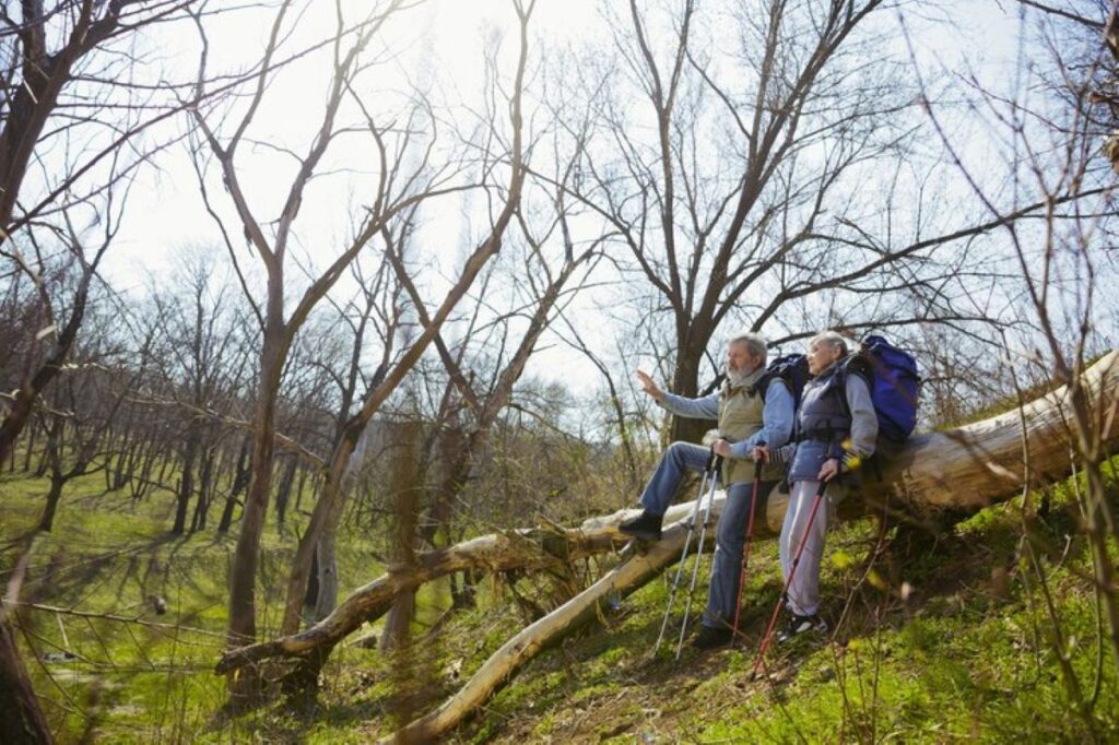 Professional tree removal Hills District