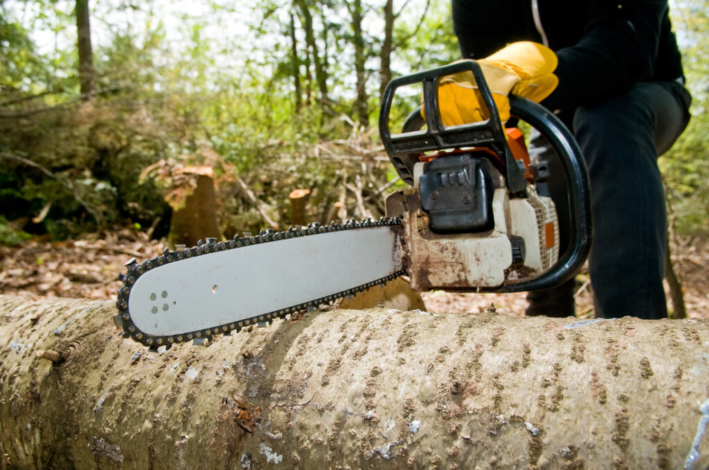 tree removel