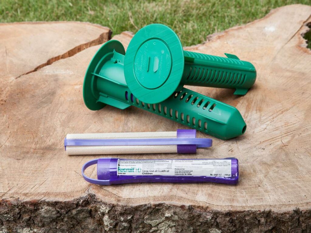 Pest Control Termite Treatment