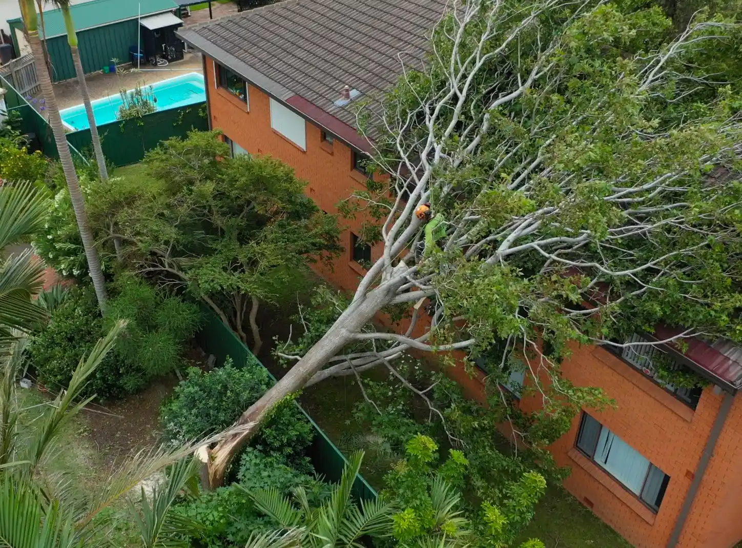 Emergency Tree Removal in Sydney: Fast Response to Storm Damage and Hazards