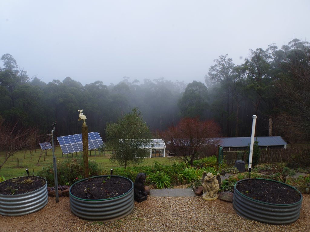 Buying Quality Firewood in Sydney: Species, Seasoning, Storage and the Law

