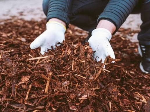 Garden Mulch and Wood Chips: Types, Benefits and Sourcing in Sydney